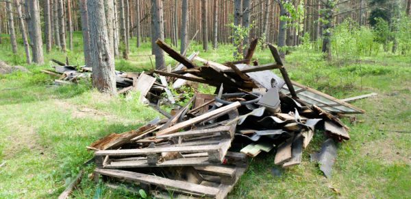 Debris Removal Service in Boynton Beach